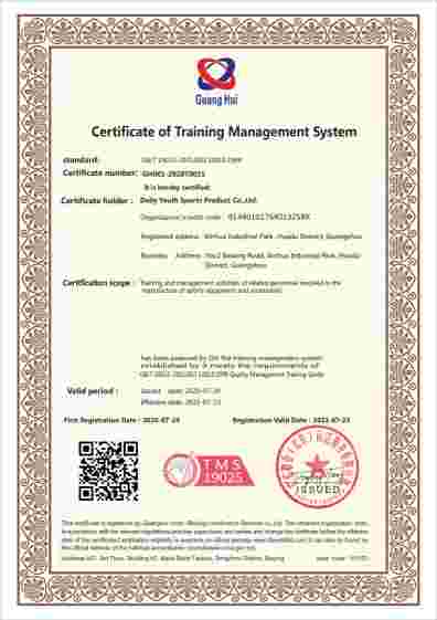 CERTIFICATE OF TRAINING SYSTEM